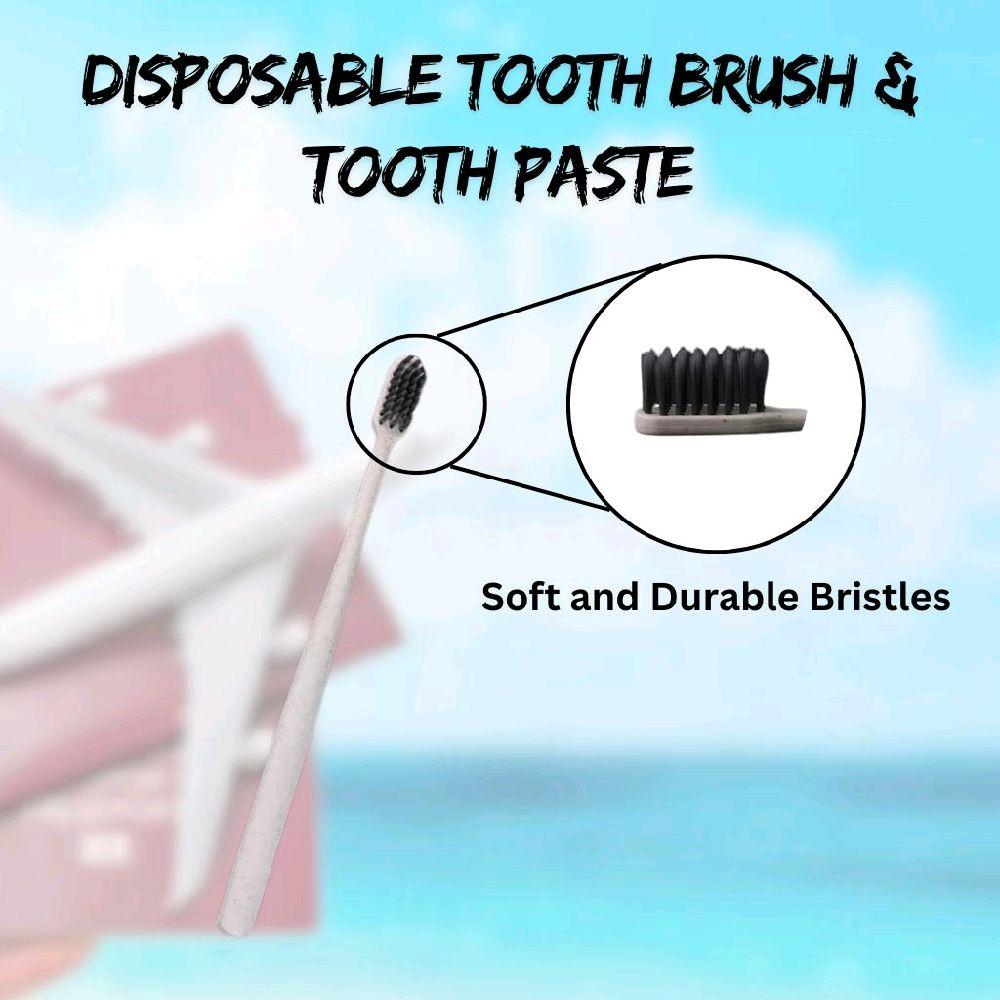 Disposable Toothbrush and Toothpaste